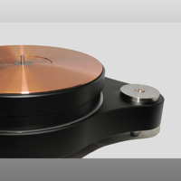 TW-Acustic Raven GT variant 8