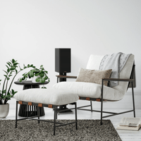 Klipsch RP-500M II variant 17