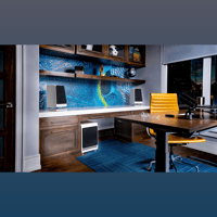 Wilson Audio LōKē variant 13