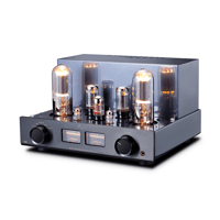 Cayin Jazz 100 variant 1