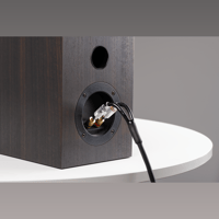 Pro-ject Audio Systems - USA Connect it LS S variant 4