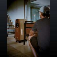 Saltwood Sounds The Te Ārai Console variant 5