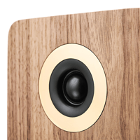 Argon Audio FORTE A55 WIFI variant 7