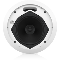 Tannoy CVS 601X variant 2