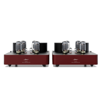 Fezz Audio Olympia Mono Power Amplifier variant 2