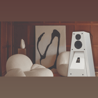 Gershman Acoustics 30th Anniversary Black Swan variant 8