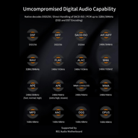 Cayin R01 R-2R Audio Motherboard variant 7