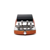 Unison Research Reference variant 1