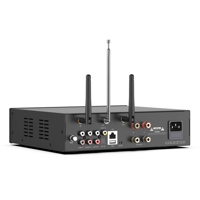 Arylic A100 100W x 2 Power amplifier with FM variant 6