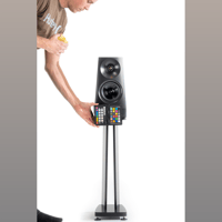 YG Acoustics Cairn variant 7