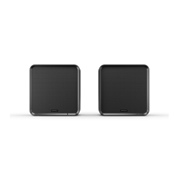 Eversolo SE100 variant 1