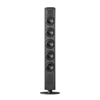 Piega usa Ace 50 Wireless Floorstanding Speakers [Pair] variant 11