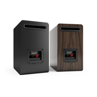 Acoustic Energy AE100 variant 7