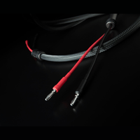 Allnic/ZL Technologies ZL-3000 mk2 Speaker Cable variant 5