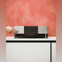 MBL - USA Stereo Power Amplifier MBL N21 MKII variant 1