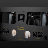 Allnic/ZL Technologies M-10000 Signature variant 3