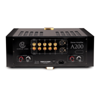 Circle Labs A200 variant 2