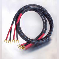 Silver Sonic Q-10 Signature variant 1