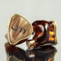 Jomo Audio S100 Cappuccino UIEM variant 2