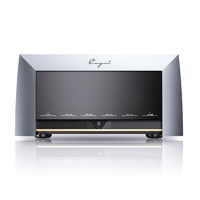 Cayin M-845D variant 1