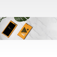 Cayin N8ii Leather Case variant 1