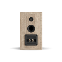 Dali OBERON 1 variant 2