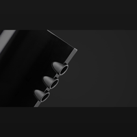 Borresen Acoustics Børresen X2 variant 5