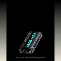 Cayin N3Ultra variant 13