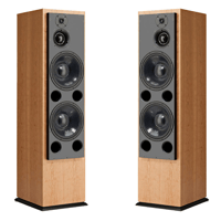 ATC - USA ATC SCM200ASLT Active Floorstanding Speakers, Pair variant 1