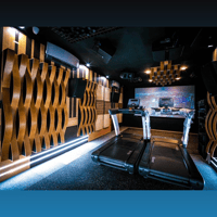 Vicoustic Flexi Wave Ultra variant 11