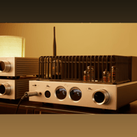 Cayin HA-2A variant 15