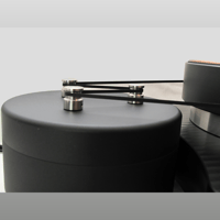 TW-Acustic Raven AC variant 12