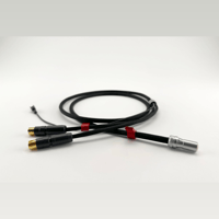 Ikigai Audio Tanoshimi variant 3