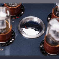 Cayin CS-88A variant 5