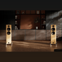 Marten Dexter Trio variant 3