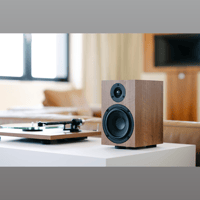 Pro-ject Audio Systems - USA Speaker Box 5 E variant 5