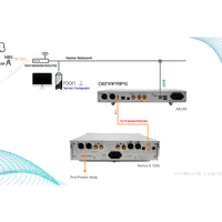 Denafrips Arcas Streamer variant 5