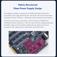 Cayin R2R Audio Motherboard variant 7