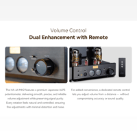 Cayin HA-6A MK2 variant 14