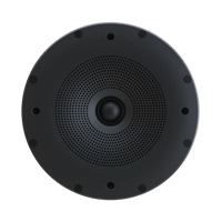 Perlisten X2ic variant 1