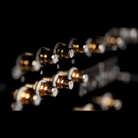 Viva Audio Linea variant 2