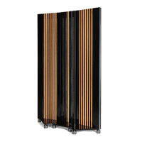 Alsyvox Audio Design MICHELANGELO variant 1