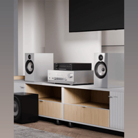 Arylic LP100 HiFi Music Streamer variant 6