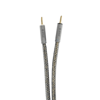 Ansuz Acoustics Speakz - Titanium variant 1