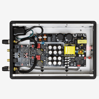 Mola-Mola Mola Mola Perca variant 4