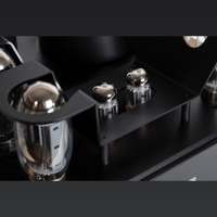 Mastersound Booster (coppia) variant 9