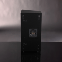 Hsu Research MFL-6 Speaker variant 5