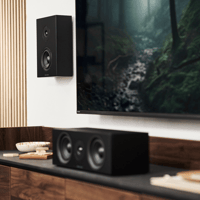 Argon Audio FORUS 4 WALL variant 7