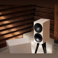 Buchardt Audio Anniversary 10 variant 31