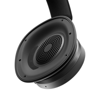 B&O-Bang & Olufsen  Beoplay H95 variant 8